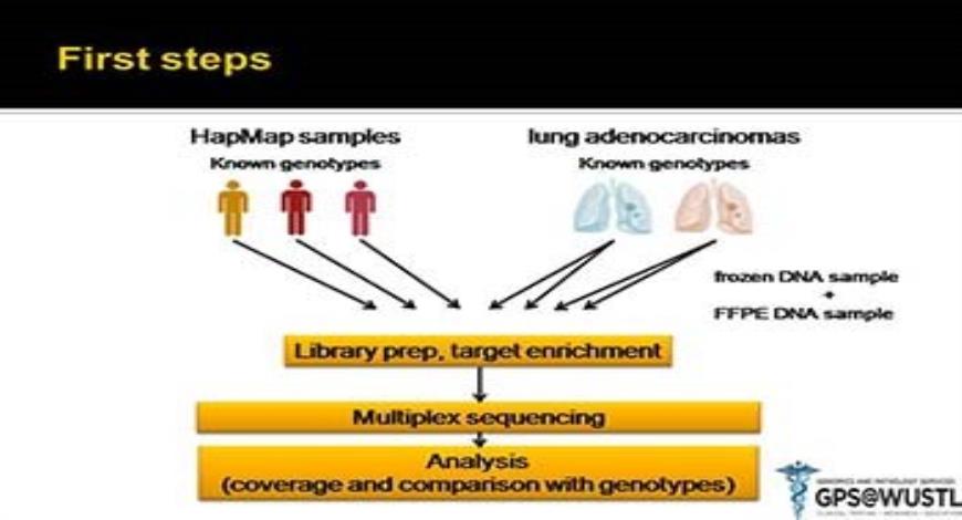 Download Free Medical Cancer Next Generation Sequencing - Clinical ...
