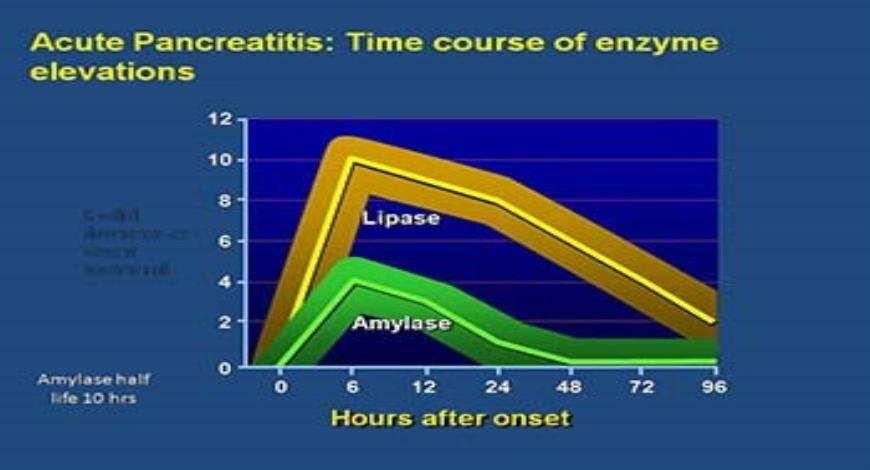 Download Free Medical Acute Pancreatitis PowerPoint Presentation