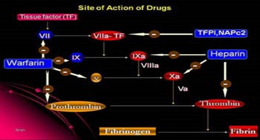 Download Free Medical Oral Direct Thrombin Inhibitors PowerPoint ...
