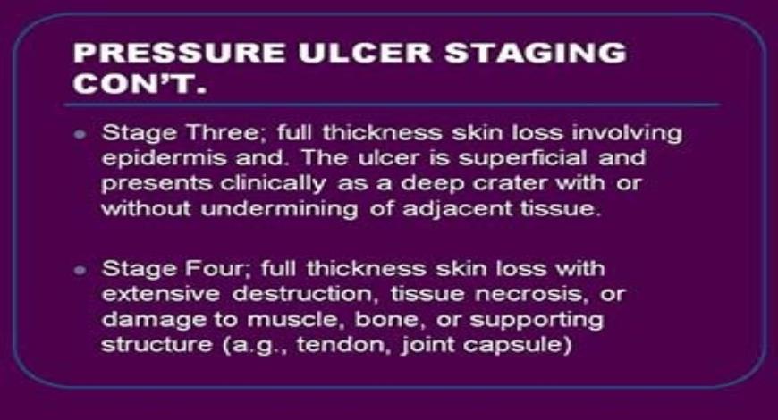 Download Free Medical SKIN INTEGRITY PowerPoint Presentation