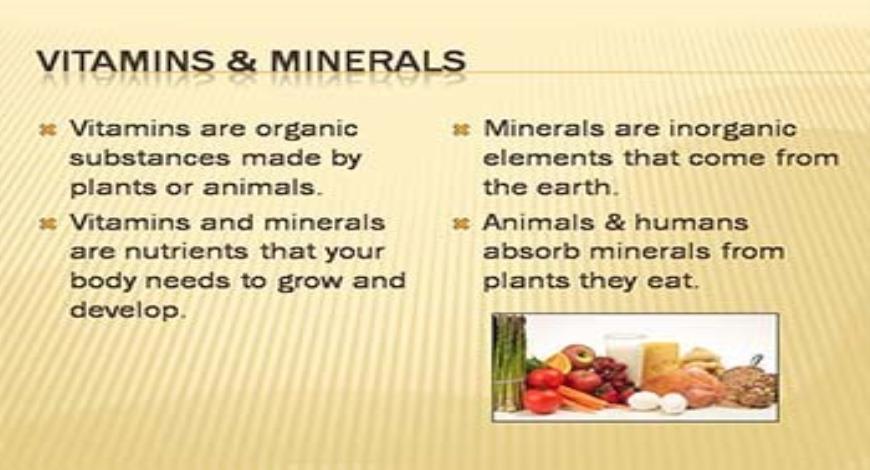 Download Free Medical VITAMINS AND MINERALS PowerPoint Presentation