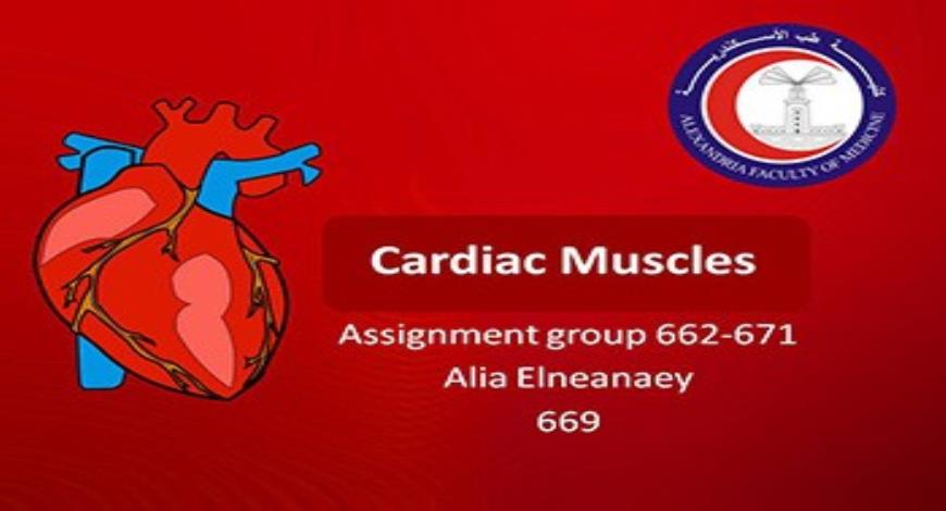 Cardiac Muscles Medical Presentation