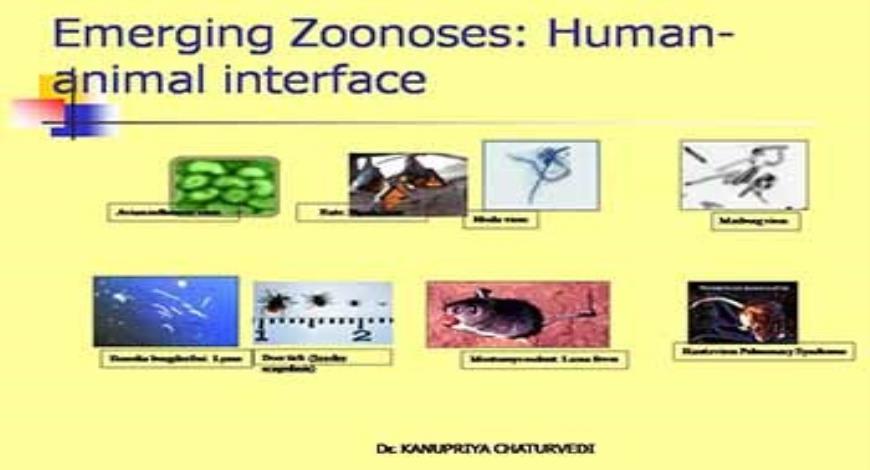 Download Free Medical Emerging and Re-emerging Infectious Diseases  PowerPoint Presentation