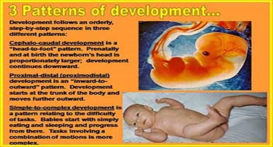 Download Free Medical PHYSICAL DEVELOPMENT PowerPoint Presentation