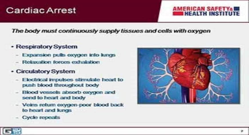Download Free Medical CPR and AED PowerPoint Presentation