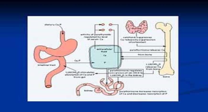 Download Free Medical RICKETS and OSTEOMALACIA PowerPoint Presentation