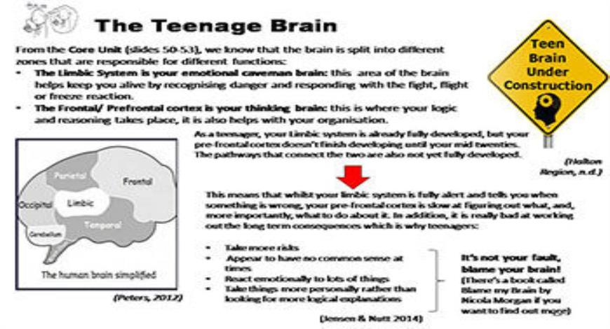 Download Free Medical Drugs and How they Affect the Teenage Brain ...