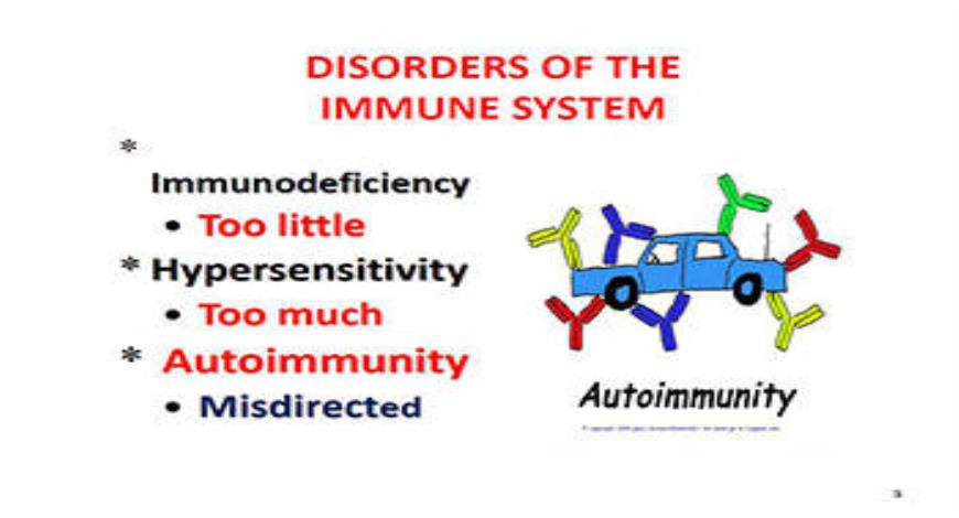 Download Free Medical Autoimmunity PowerPoint Presentation
