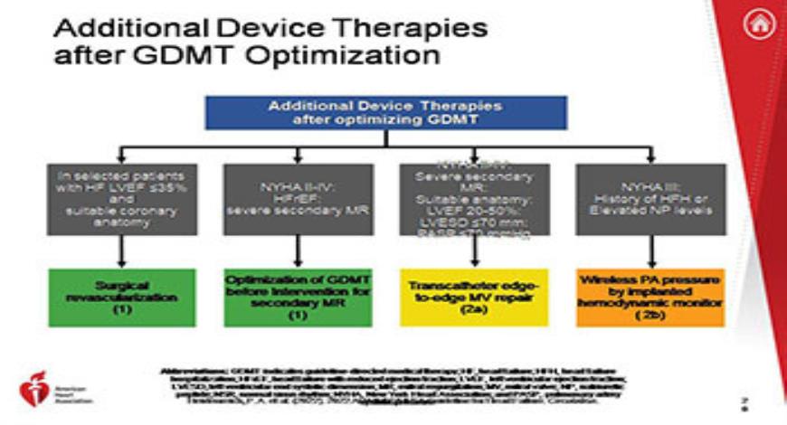 Download Free Medical Guideline for Heart Failure PowerPoint Presentation