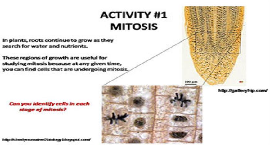 Download Free Medical Genes Mutations and Diseases-Understanding The ...
