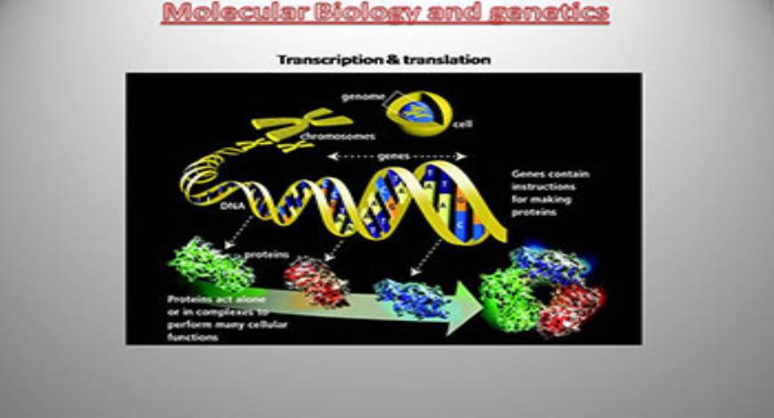 Download Free Medical Introduction To Cell And Molecular Biology ...