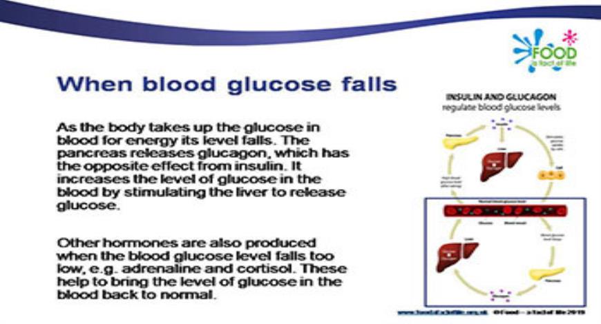 Download Free Medical Diet Insulin and Blood Glucose PowerPoint ...