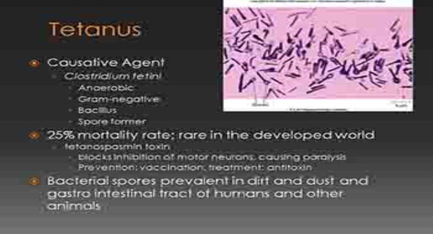 Download Free Medical Wound Infections PowerPoint Presentation