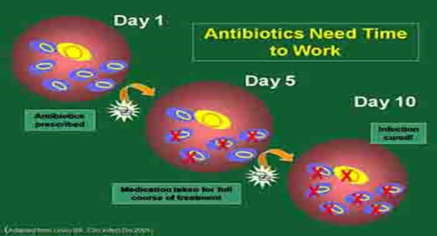 Download Free Medical Antibiotic Resistance PowerPoint Presentation