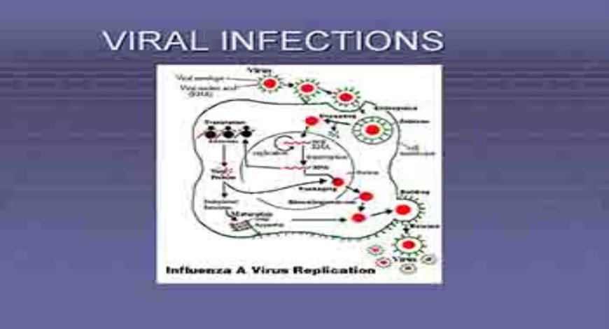 Download Free Medical Immune Response to Infectious Disease PowerPoint ...