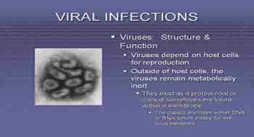 Download Free Medical Immune Response To Infectious Disease PowerPoint ...