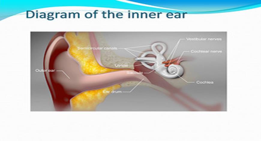 Download Free Medical Vertigo PowerPoint Presentation