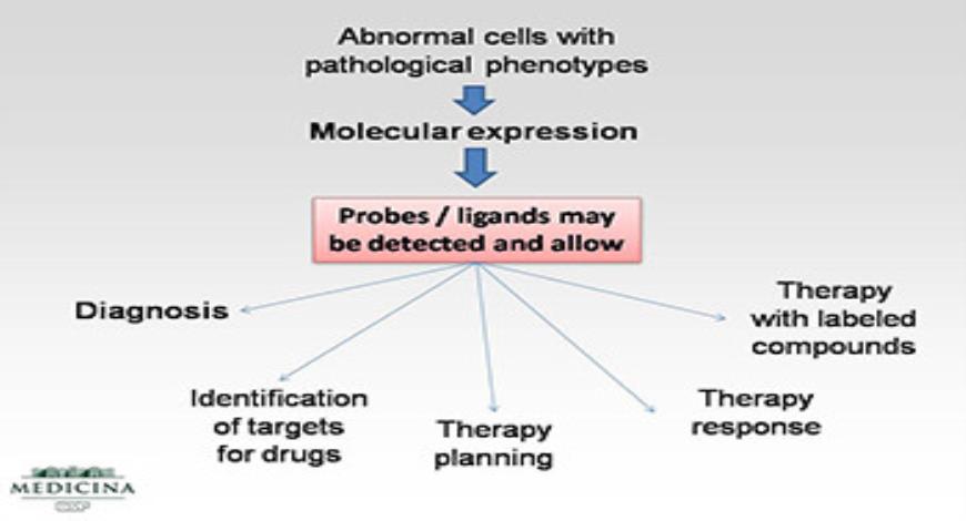 Download Free Medical Molecular Imaging PowerPoint Presentation