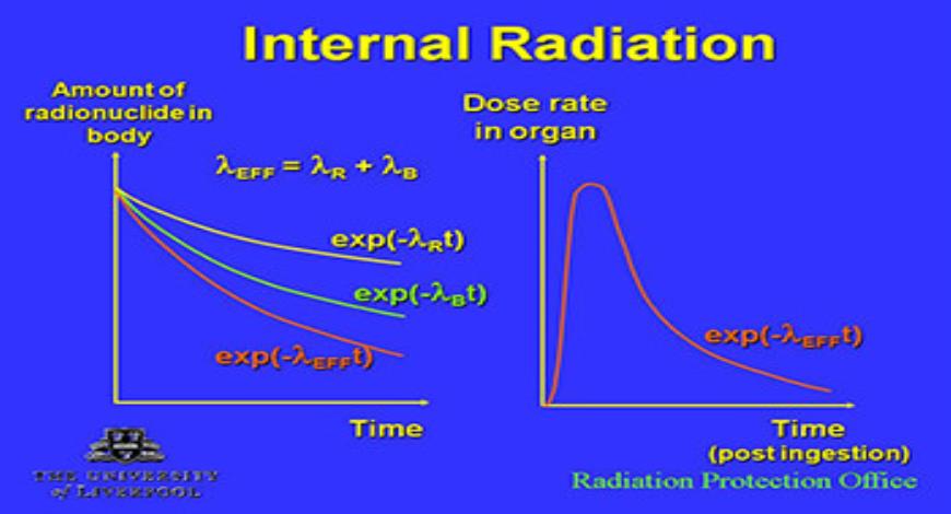 Download Free Medical Basic Radiation Protection PowerPoint Presentation