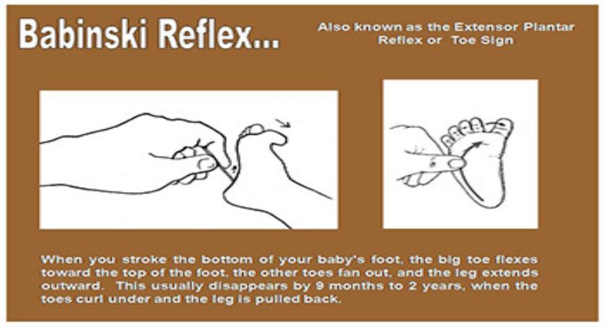 Download Free Medical Neonatal Evaluation And Care PowerPoint Presentation