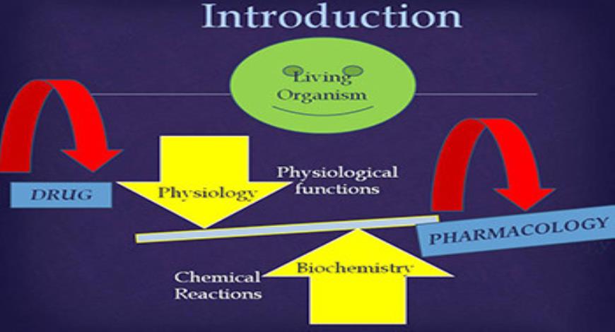 Download Free Medical Pharmacology Introduction PowerPoint Presentation
