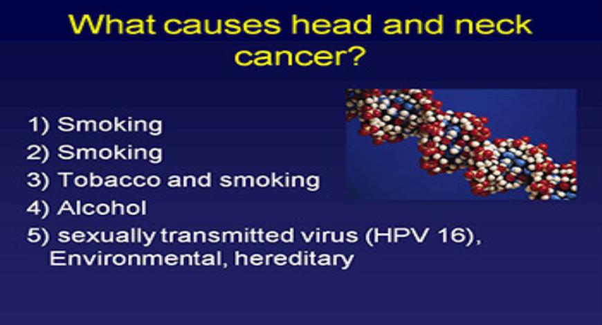 Download Free Medical Clinical Management of Head and Neck Cancer ...