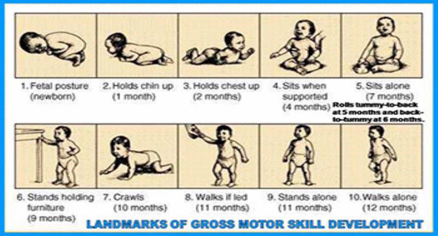 Download Free Medical Physical Development PowerPoint Presentation