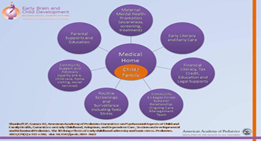 Download Free Medical Early Brain and Child Development PowerPoint ...