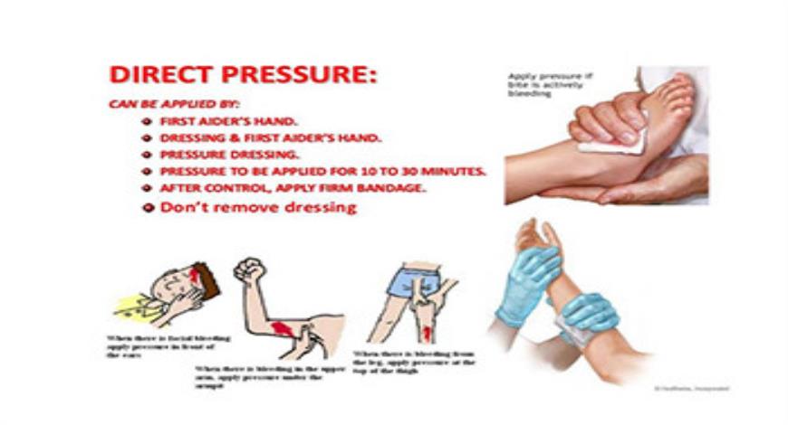 Download Free Medical First Aid and Wound Care PowerPoint Presentation
