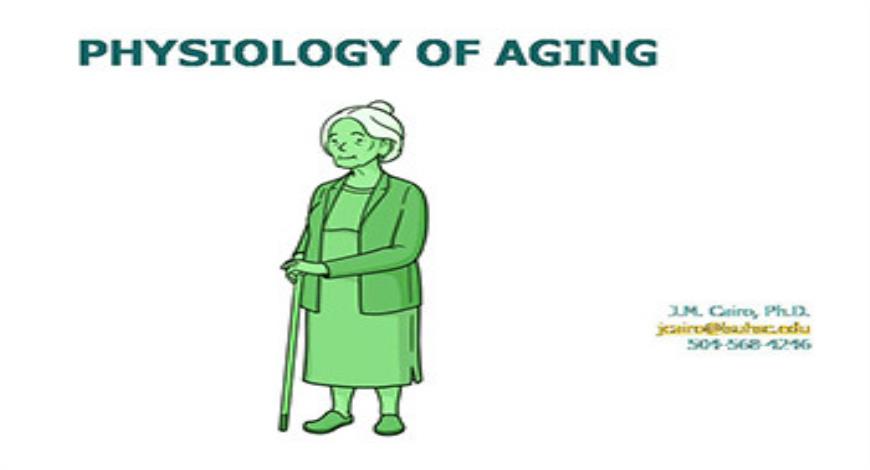 Download Free Medical Physiology of Aging PowerPoint Presentation