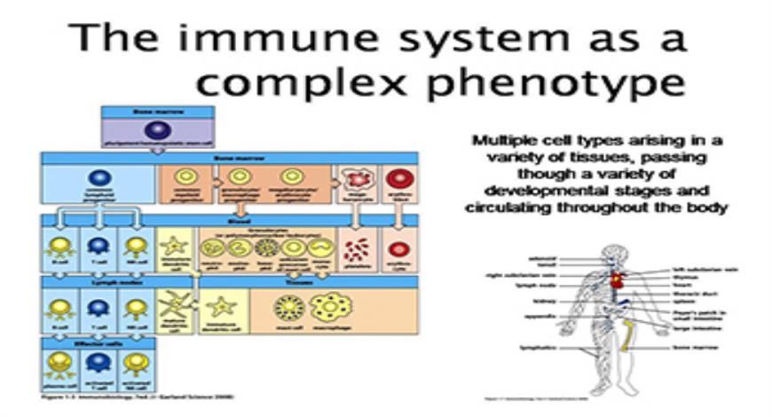 Download Free Medical The Biochemistry and Genetics of Autoimmune ...