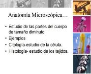 Urinary System Medical Notes