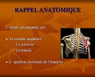 sdsd PowerPoint Presentation Notes