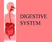 cells PowerPoint Presentation Notes