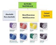 Equinox 2020 PowerPoint Presentation Notes