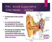 Brain PowerPoint Presentation