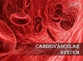 cardiovascular