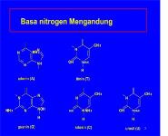 ASAM NUKLEAT Medical Notes