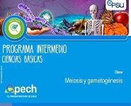 meiosis PowerPoint Presentation