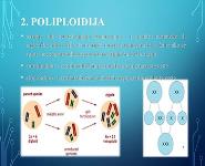 GENSKE BOLESTI PowerPoint Presentation Notes