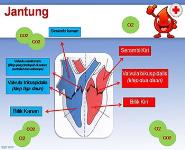 HIV and AIDS PowerPoint Presentation