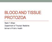 Blood And Tissue Protozoa PowerPoint Presentation Notes
