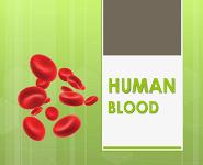 Human Blood PowerPoint Presentation Notes