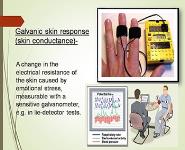 BIOFEEBACK PowerPoint Presentation Notes