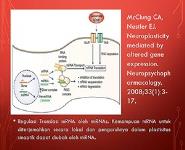 Neurobiology and gene PowerPoint Presentation