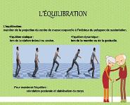 Les troubles de lequilibre chez la personne agee PowerPoint Presentation Notes