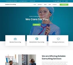 Medical Consulting Medical and Healthcare Consultants Wordpress Theme