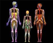 Pharma 2020 Virtual R and D a paper on the future of the pharmaceutical industry PowerPoint Presentation