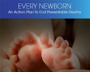 Every Newborn: WHO action plan to end preventable deaths PowerPoint Presentation Notes