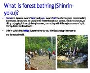 Forest Bathing and Forest Medicine  - The Impact of Shinrin-Yoku on Wellness PowerPoint Presentation